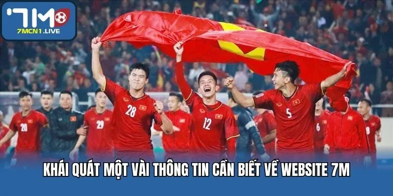 Khái quát một vài thông tin cần biết về website 7M
